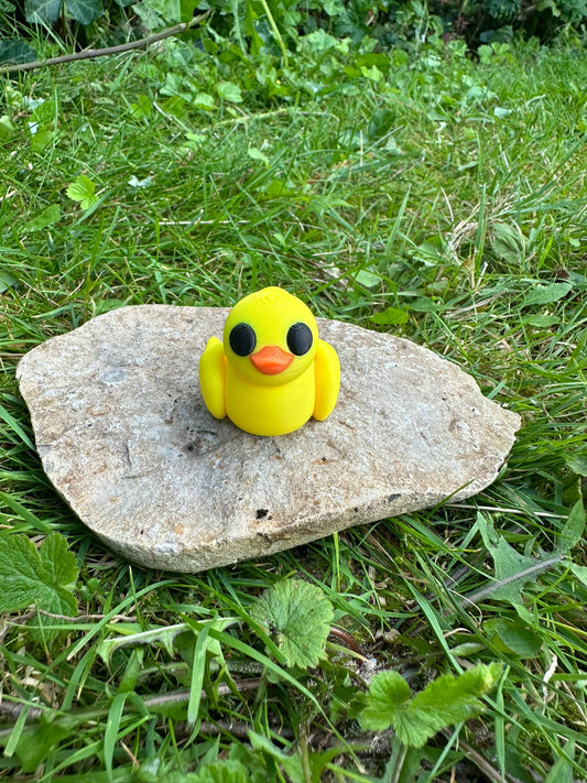 Baby Ente