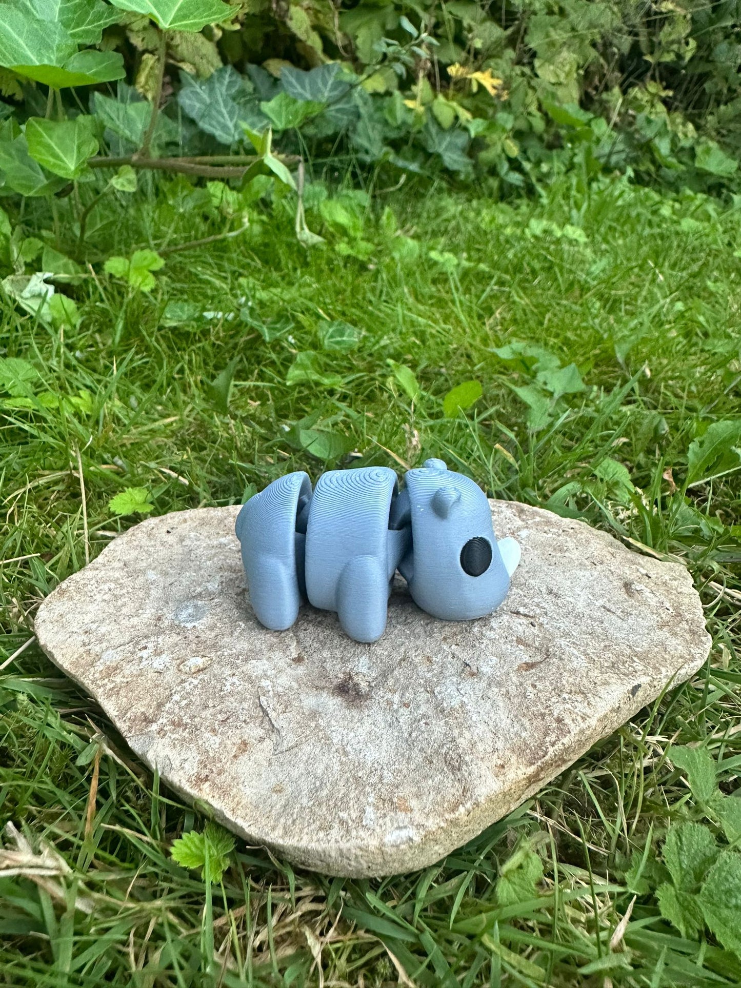Baby Nashorn