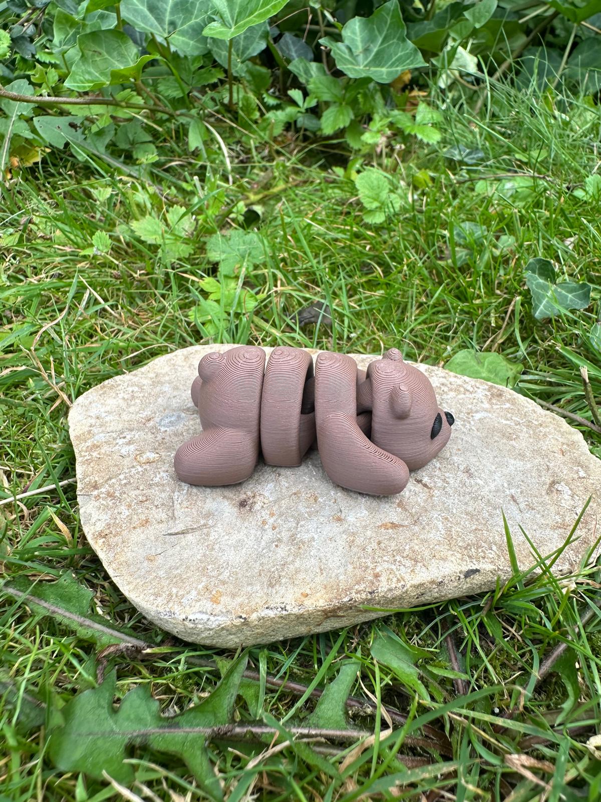 Baby Bär