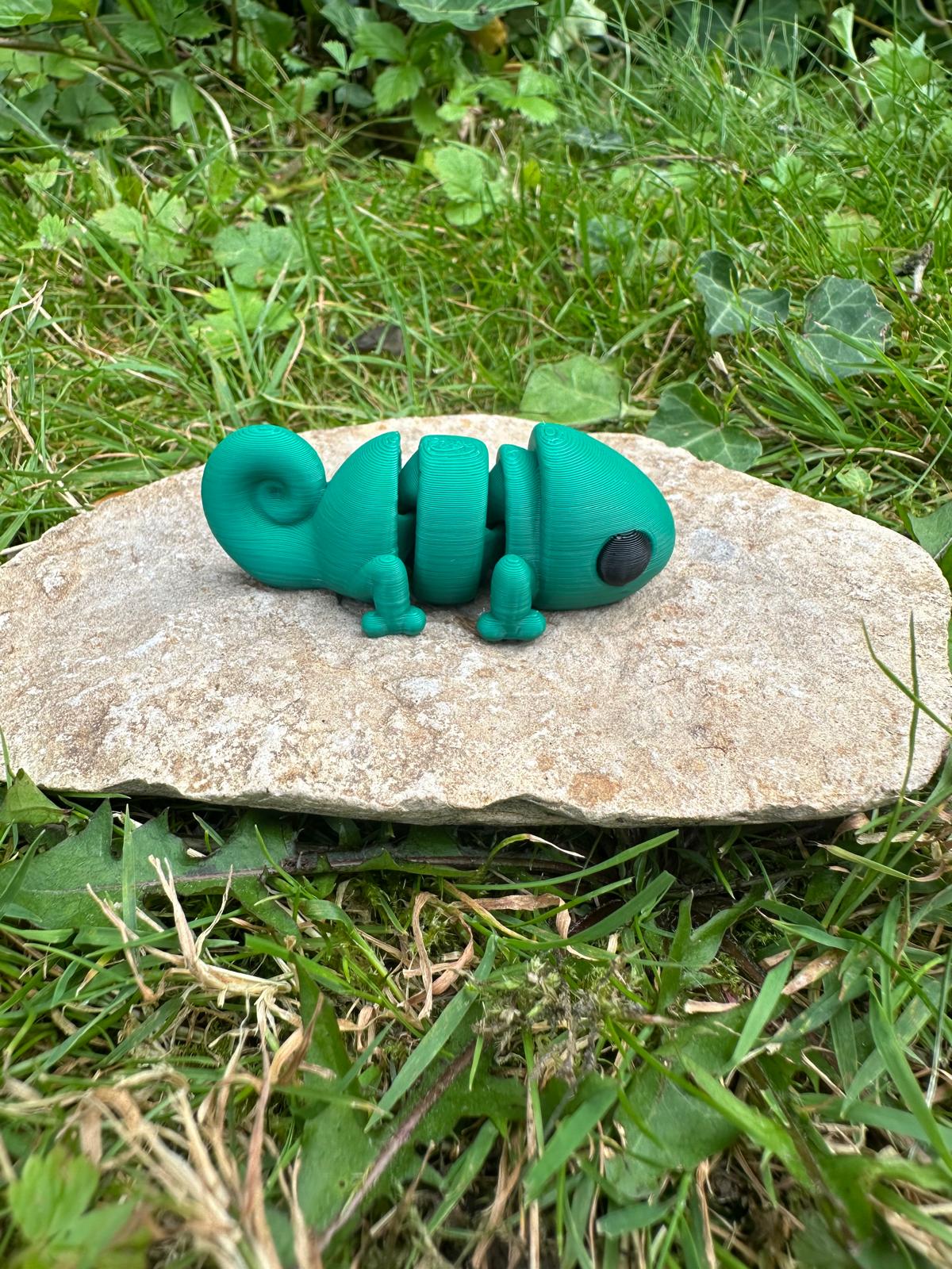 Baby Chameleon