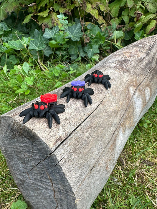 Spinne