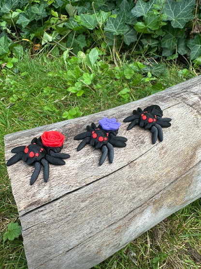 Spinne