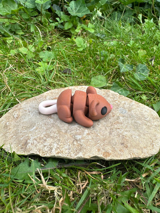 Baby Maus
