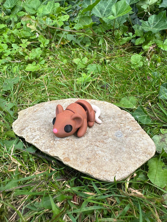 Baby Maus