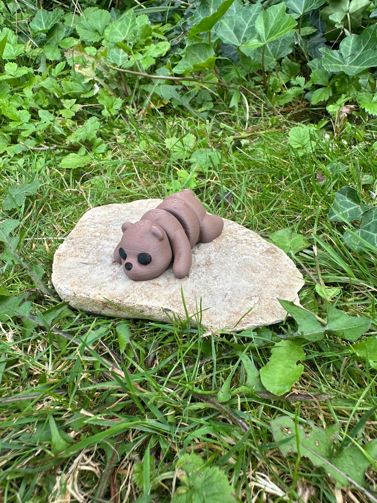 Baby Bär