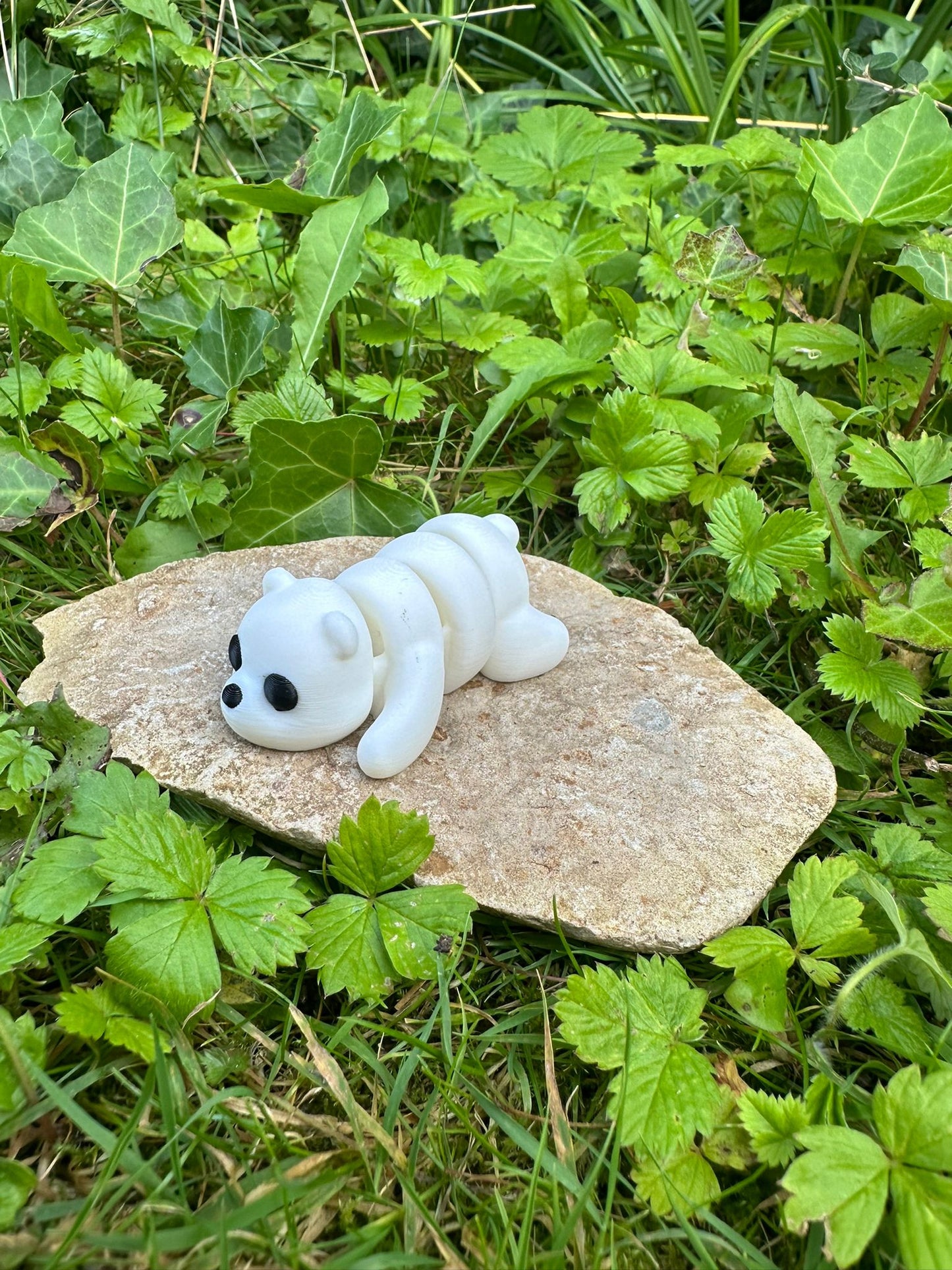 Baby Eisbär
