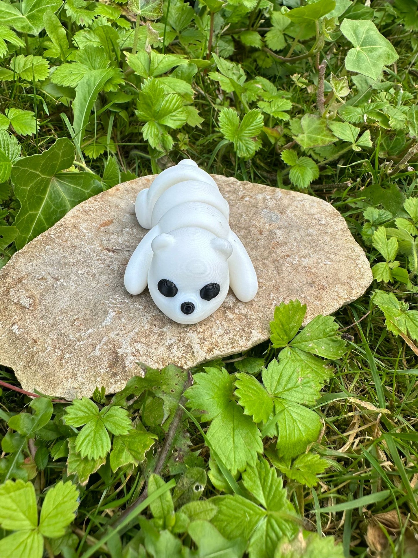 Baby Eisbär