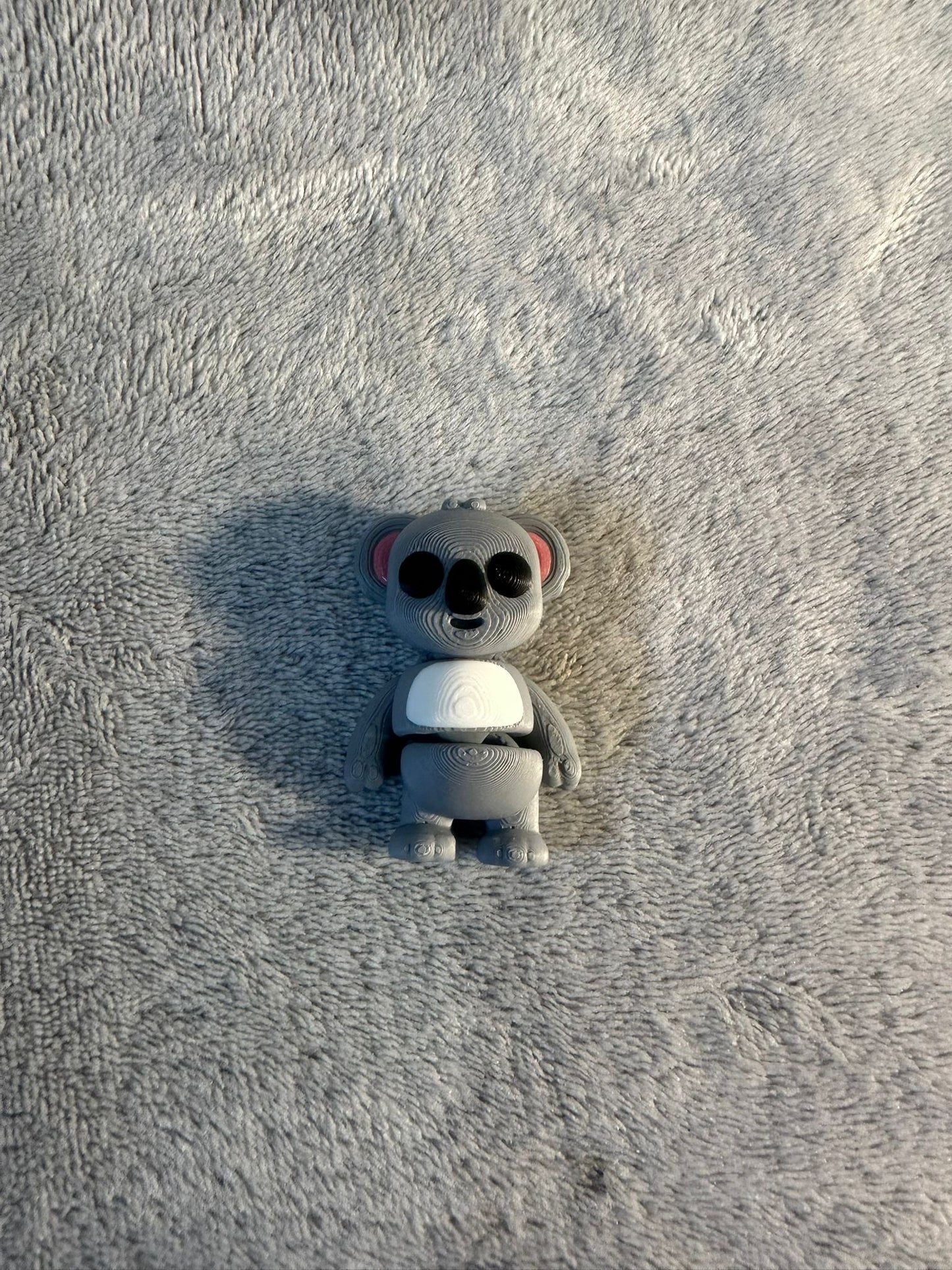 Baby Koala