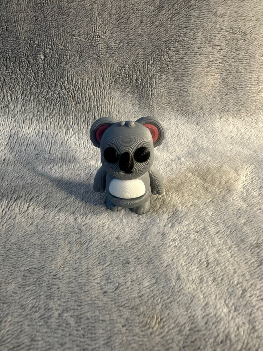 Baby Koala